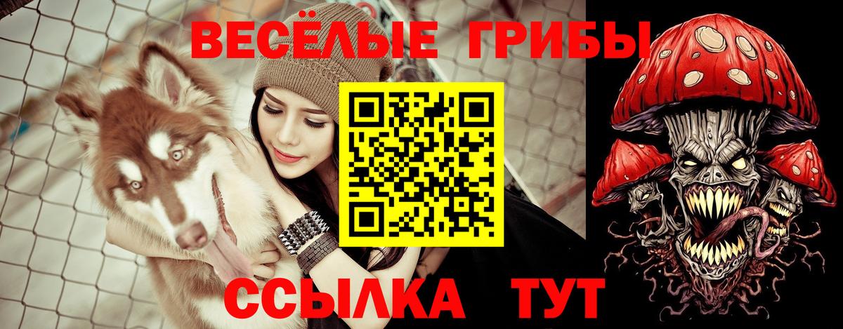 Псилоцибиновые грибы мицелий  хочу наркоту  Псилоцибиновые грибы ЛСД  Новосибирск  Вход с VPN 