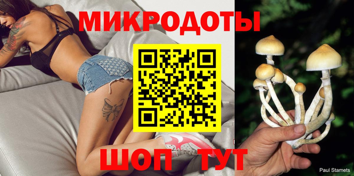 Псилоцибиновые грибы Cubensis Новосибирск